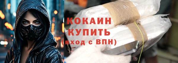 твердый Богородск