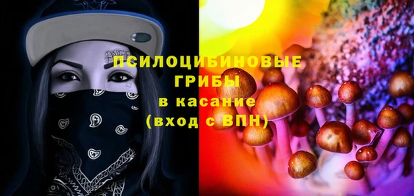 мескалин Богородицк