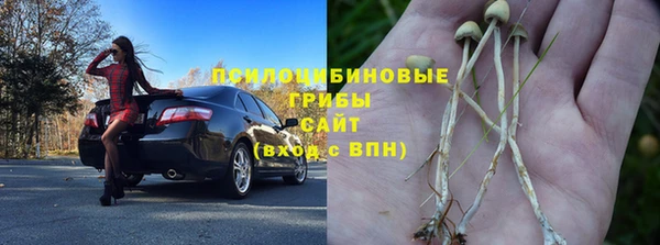 МДМА Богданович