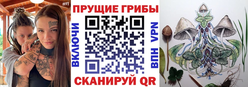 Галлюциногенные грибы мицелий  kraken зеркало  Баксан 