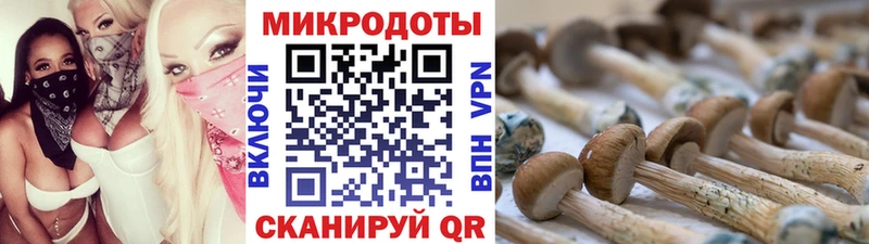 Галлюциногенные грибы Magic Shrooms Баксан